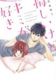 Adult (18+) Anime Like Kimi ga Suki. THE ANIMATION